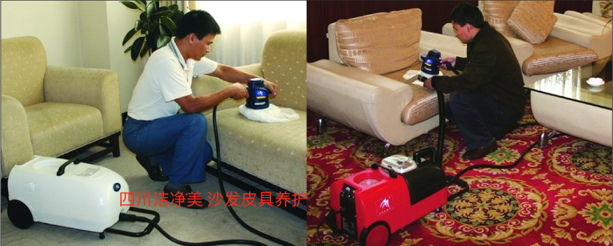 沙發(fā)，皮具養(yǎng)護(hù)
